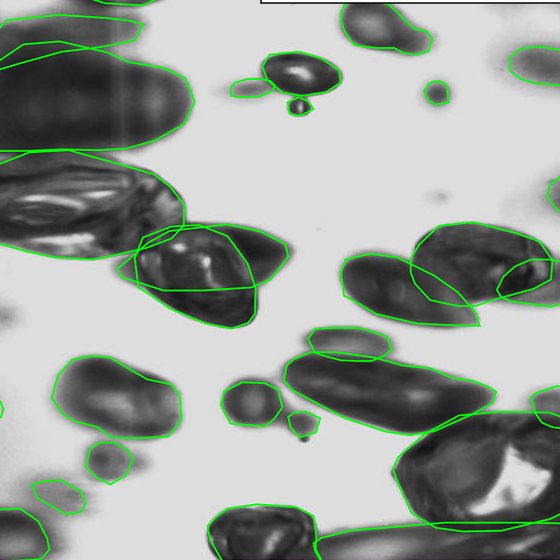 The same bubbles outlined by hand as ground truth