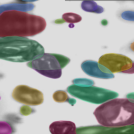 Bubbles segmented by Mask2Former