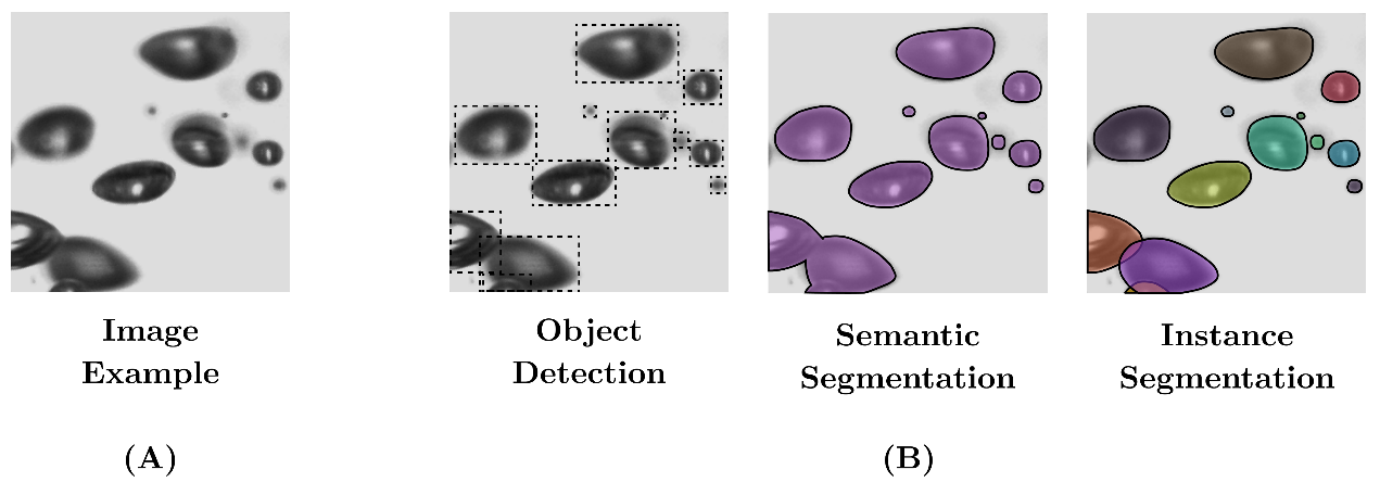 Deep learning model types: image example, object detection, semantic segmentation, and instance segmentation