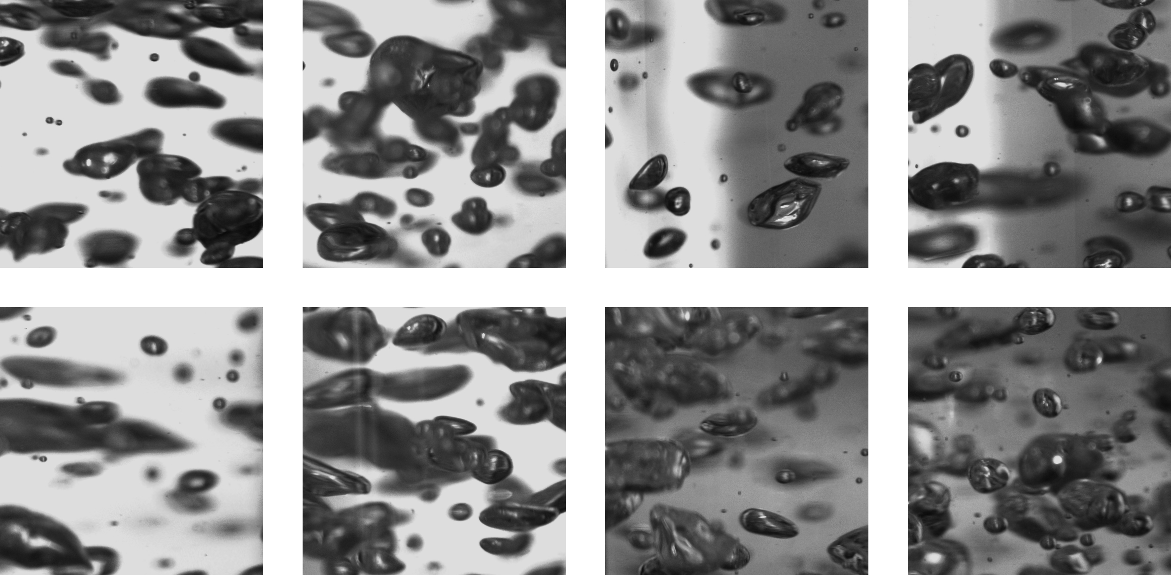 Sample bubble images drawn from across the dataset, showing variation with operating condition and location