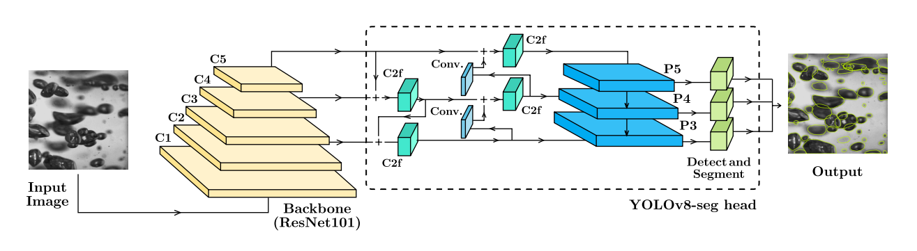 YOLOv8 Architecture diagram