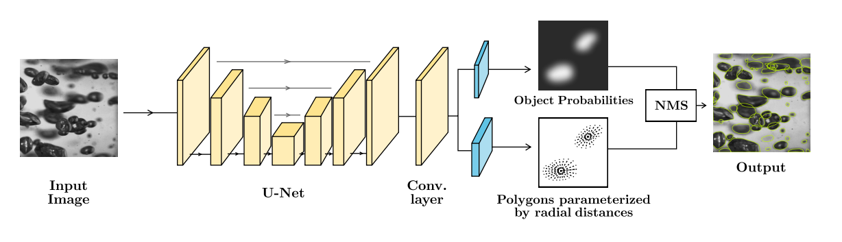 StarDist Architecture diagram